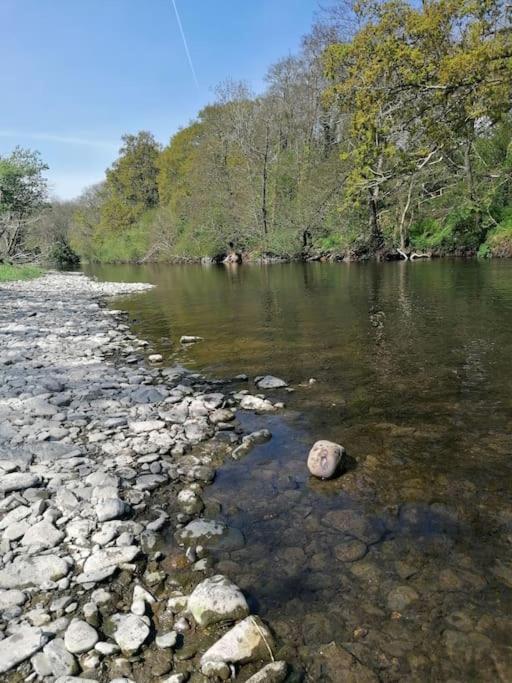 Cottage By The River In Cenarth With Fishing And Wifi Eksteriør bilde